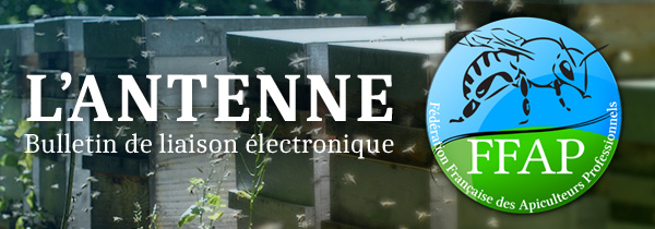 L'Antenne - Bulletin de liaison électronique - Fédération Française des Apiculteurs Professionnels